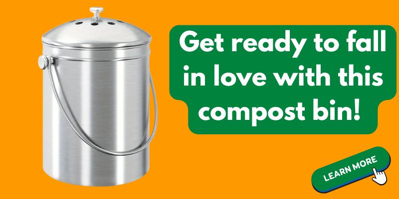 Epica compost bin review