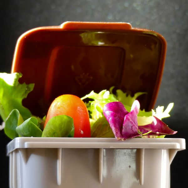 How to Compost Food Scraps at Home
