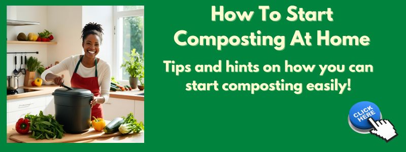 How To Start Composting At Home