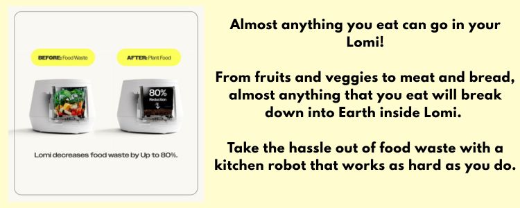 Lomi 2 kitchen countertop food recycler