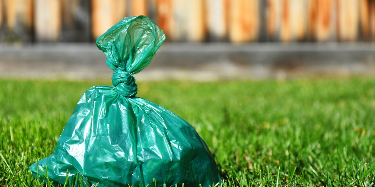 How to Compost Pet Waste Safely for a Greener Garden