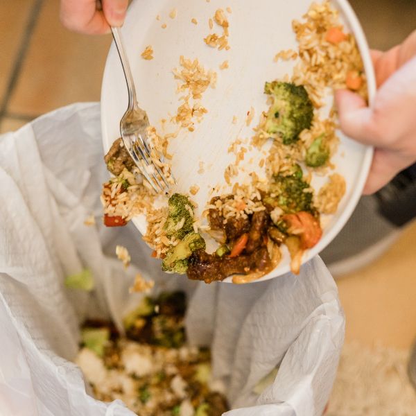 How to Compost Food Scraps at Home