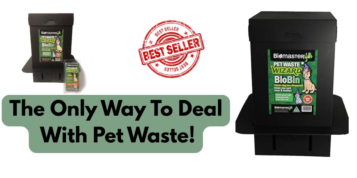 How to Compost Pet Waste Safely for a Greener Garden