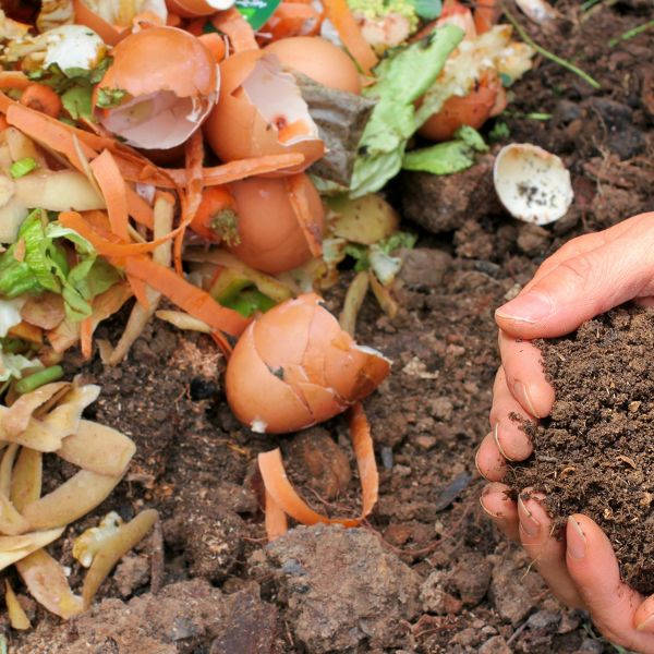 How to Compost Food Scraps at Home