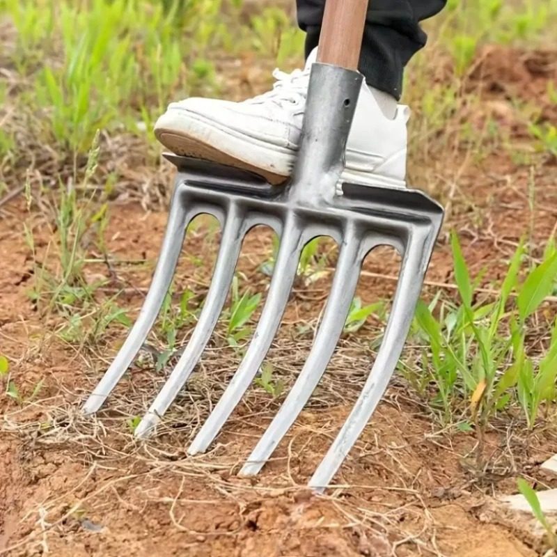 Can You Compost Bread?
