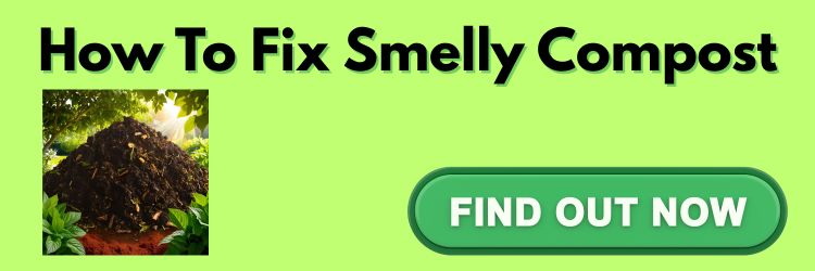 How To Fix Smelly Compost