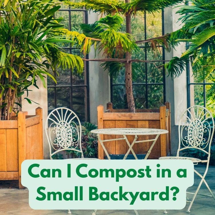 Can I Compost in a Small Backyard?