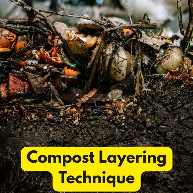 Compost Layering Technique