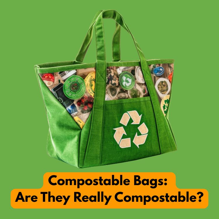 Compostable Bags: Are They Really Compostable?