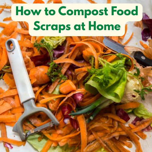How to Compost Food Scraps at Home