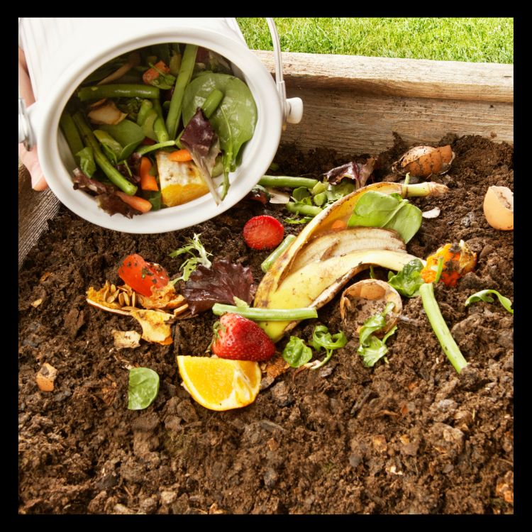 How to Make the Best Compost for Tomatoes