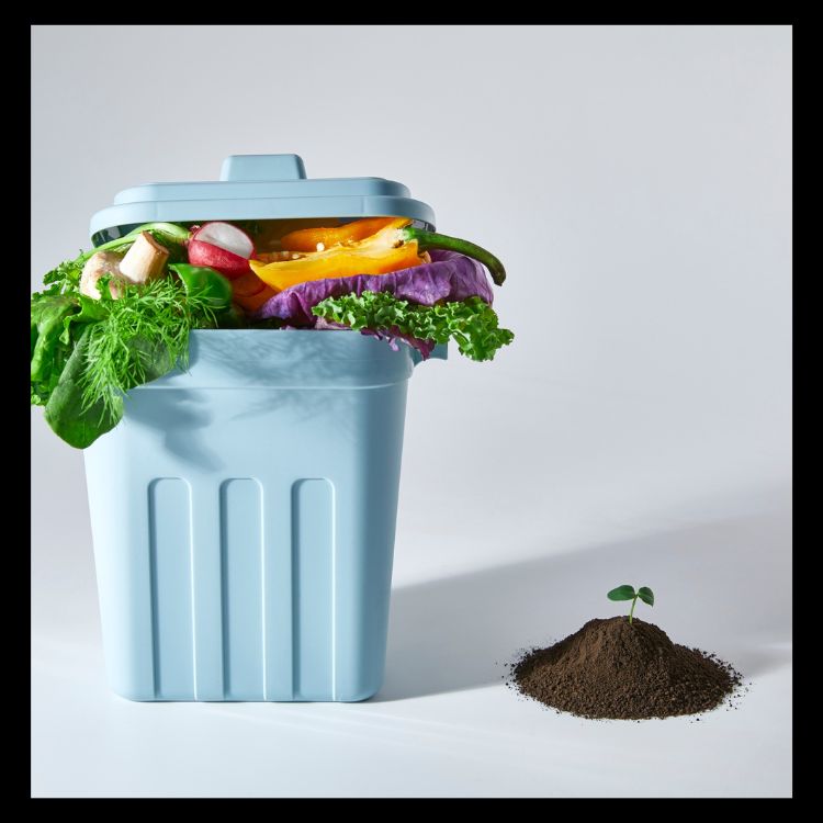 How to Make the Best Compost for Tomatoes