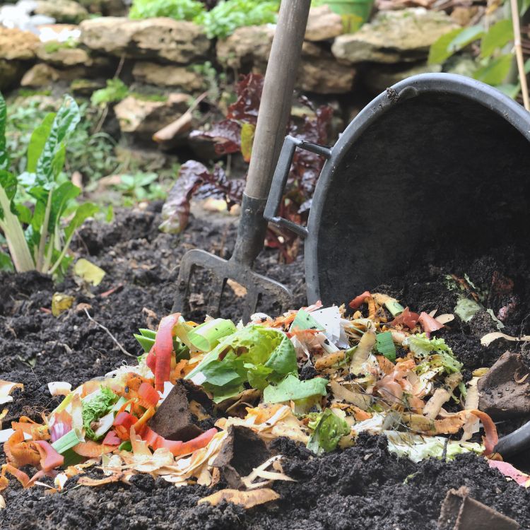How to Turn Potato Peelings into Compost Gold
