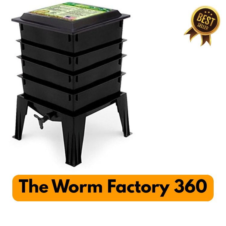 How to Start a Vermicompost Bin at Home