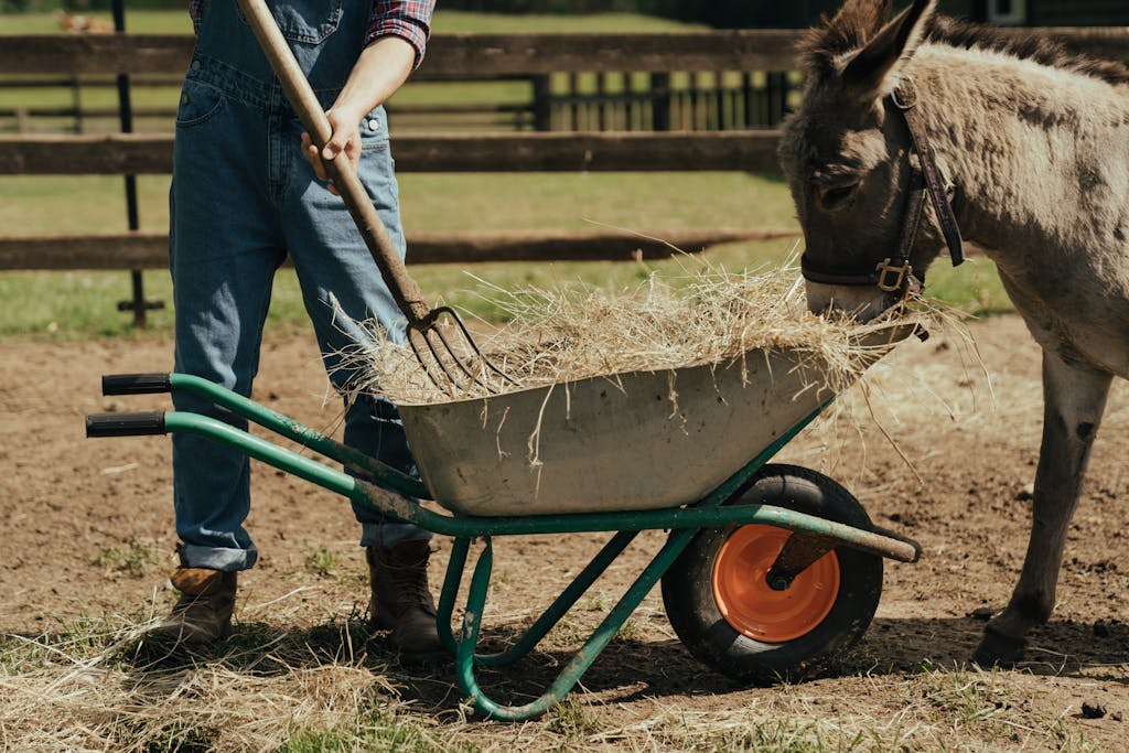 How to Make the Best Compost for Tomatoes