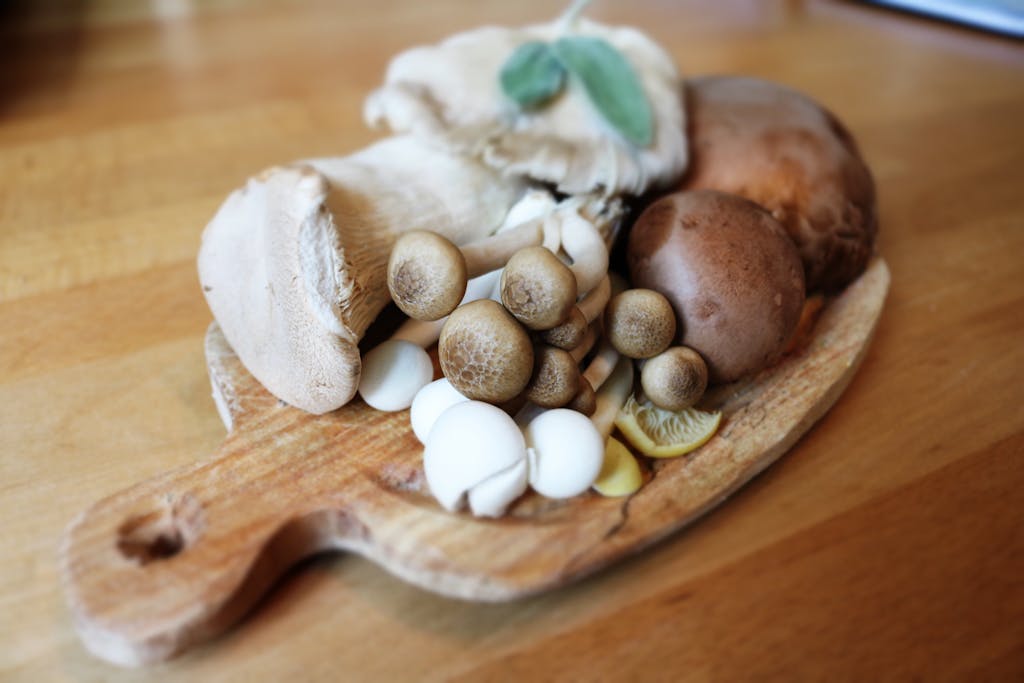 How to Grow Oyster Mushrooms from Home Compost