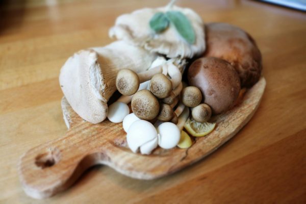 How to Grow Oyster Mushrooms from Home Compost