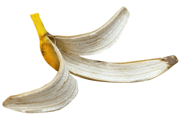 Can You Compost Banana Peels?