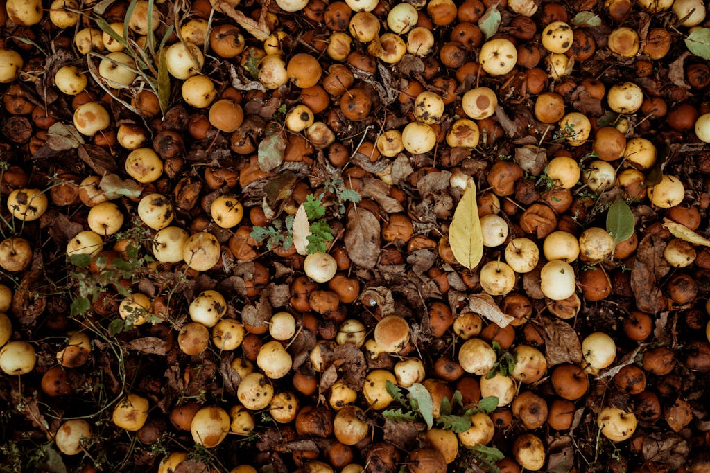 Can You Compost Apples?