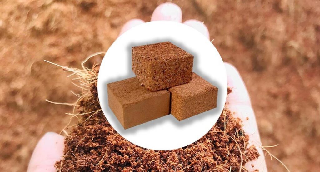 coco-coir-bricks