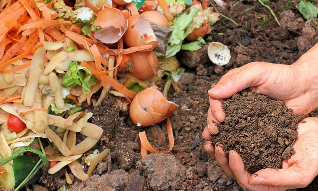 How to make compost at home from kitchen waste