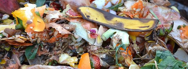 How to make compost at home from kitchen waste