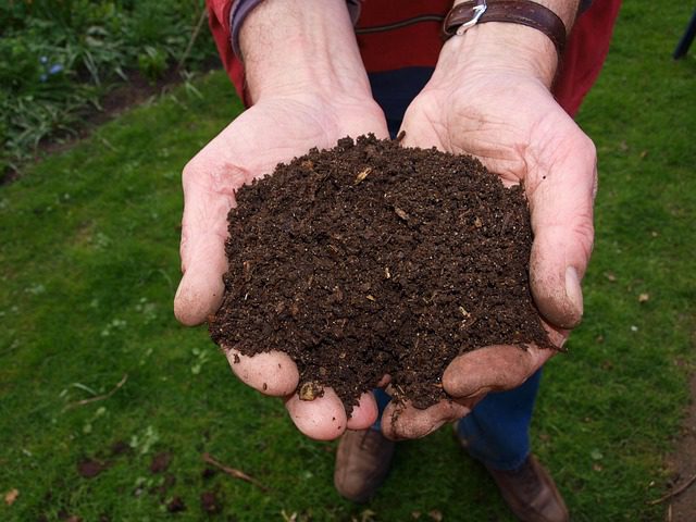 How to make compost at home from kitchen waste