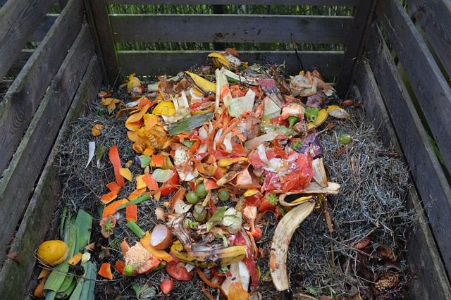 How to make compost at home from kitchen waste
