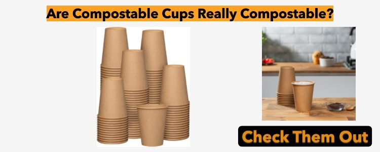 Are Compostable Cups Really Compostable?