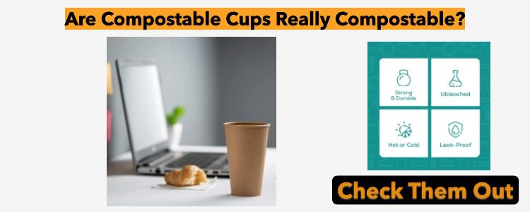 Are Compostable Cups Really Compostable?