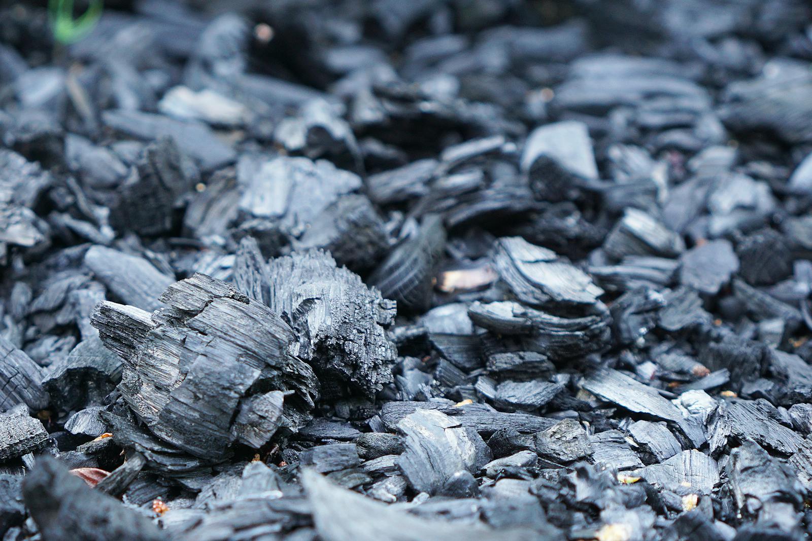 Detailed close-up of rough charcoal pieces spread outdoors, showcasing texture.