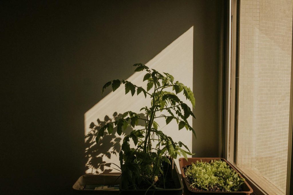 Best Compost Tumbler for Apartment Balcony