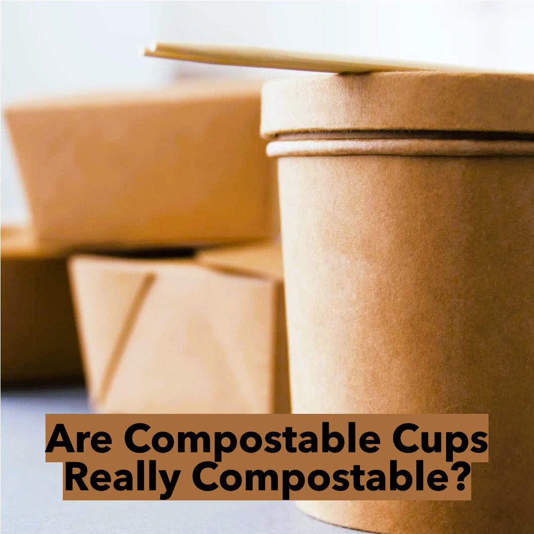 Are Compostable Cups Really Compostable?