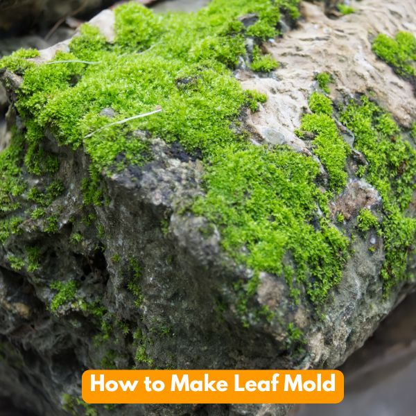 Composting Made Easy