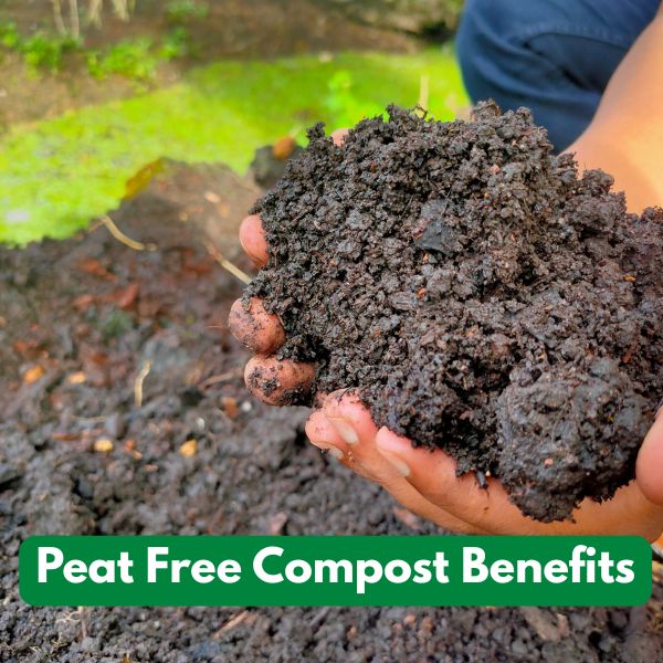 Peat Free Compost Benefits