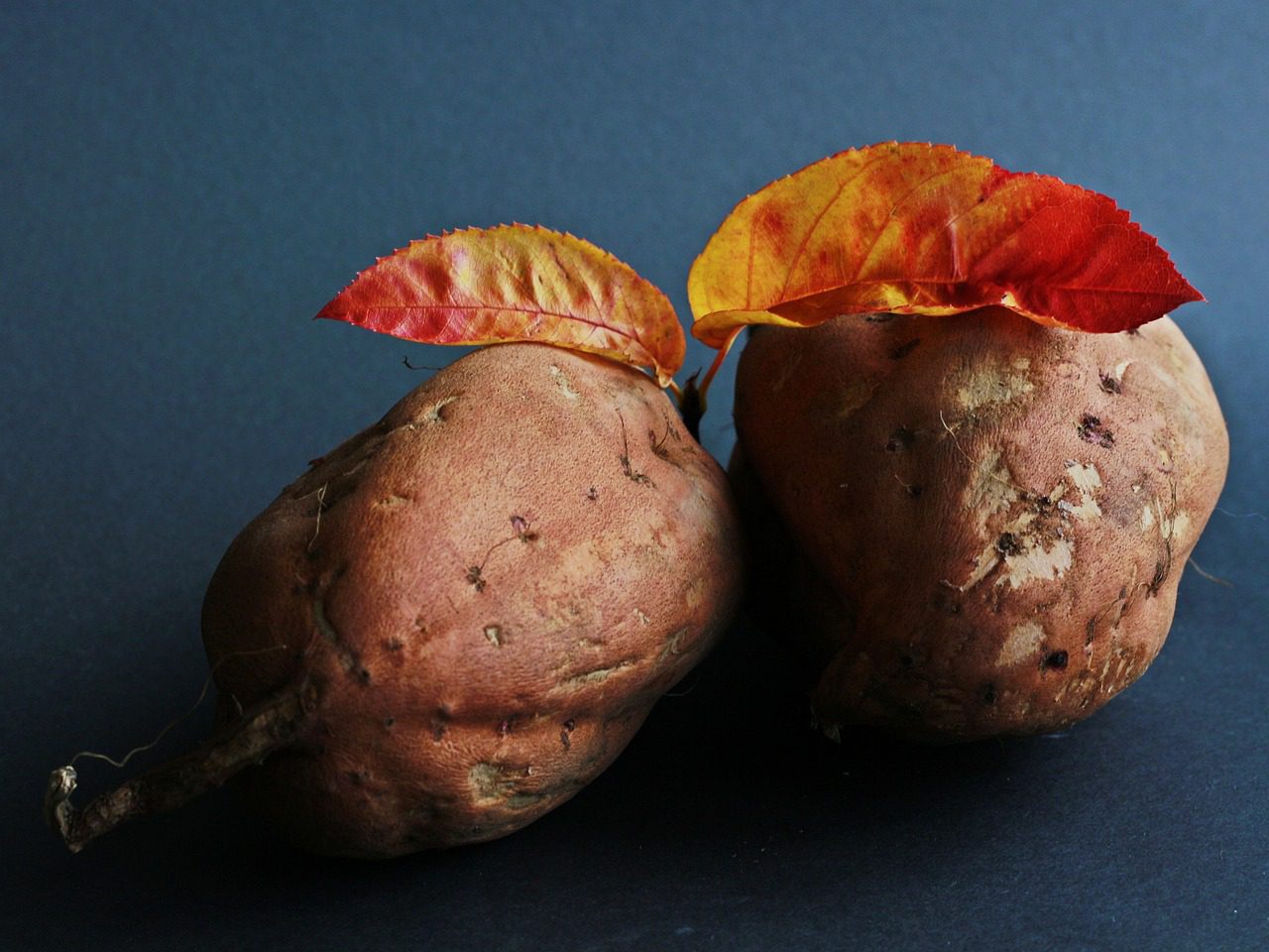 sweet potato, potato, meal, food, tasty, agriculture, enjoyment, potato dish, cook, enjoy the meal, sweet potato, sweet potato, sweet potato, sweet potato, sweet potato