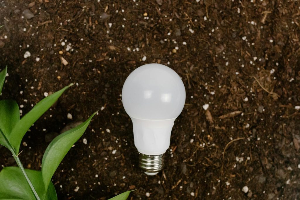 A light bulb on earthy soil with green leaves, symbolizing sustainability and eco-friendliness.