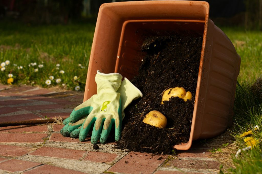 How Composting Improves Your Local Soils 