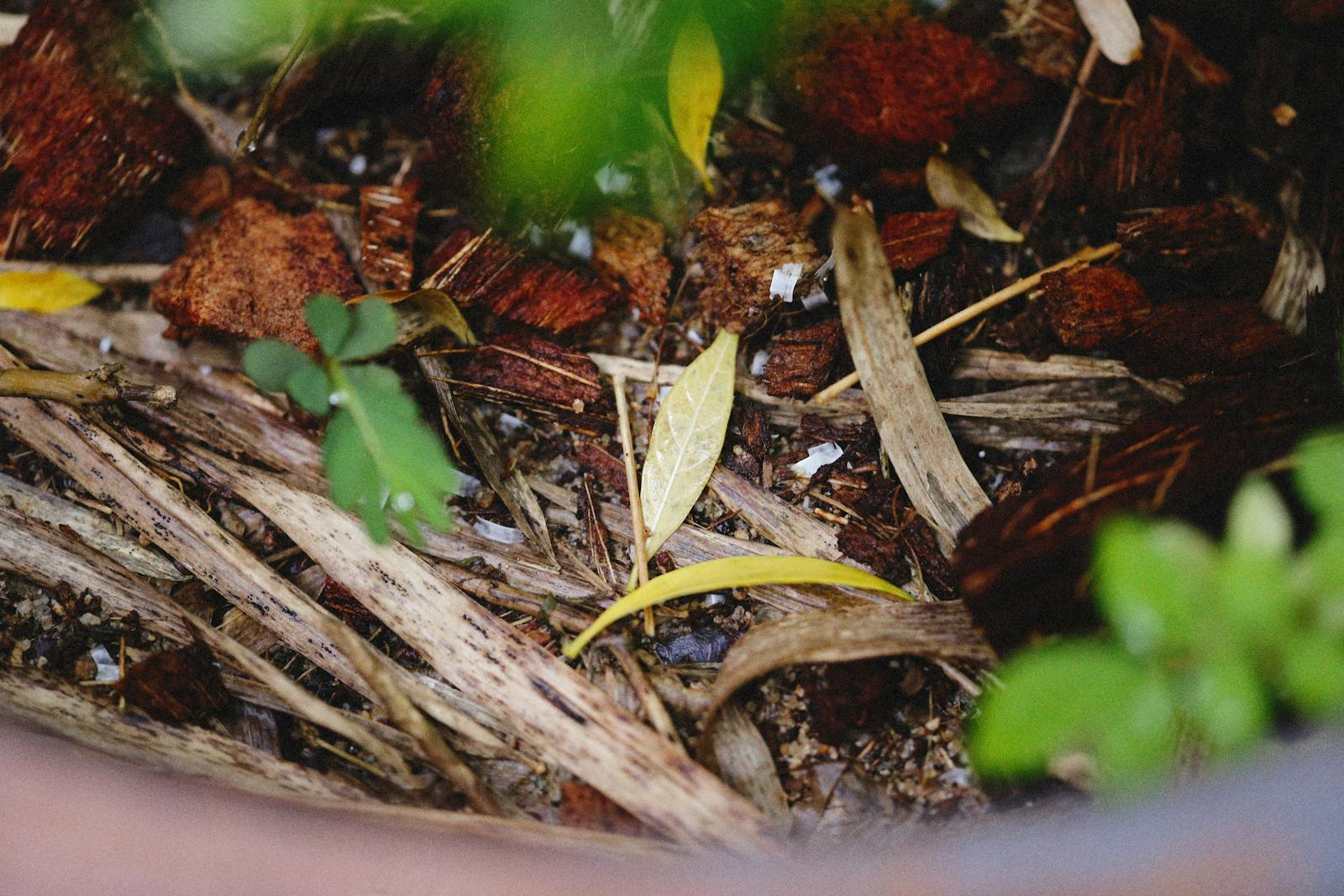 Troubleshooting Clumpy Compost Piles for Beginners