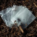 Wax Paper in Compost: Is It Okay?